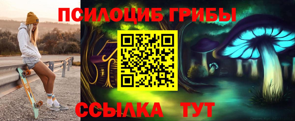 Галлюциногенные грибы MAGIC MUSHROOMS  Вход с VPN  Кирово-Чепецк 